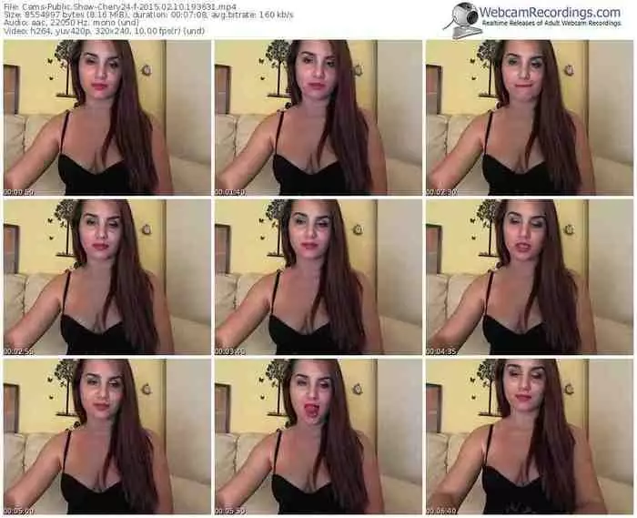 cams-chery24-public-show-02_10_2015-19_36_31