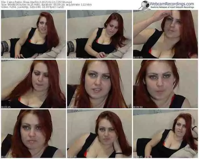 cams-merllin-public-show-02_10_2015-13_57_46