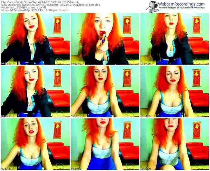 cams-skylight-public-show-02_10_2015-12_06_59