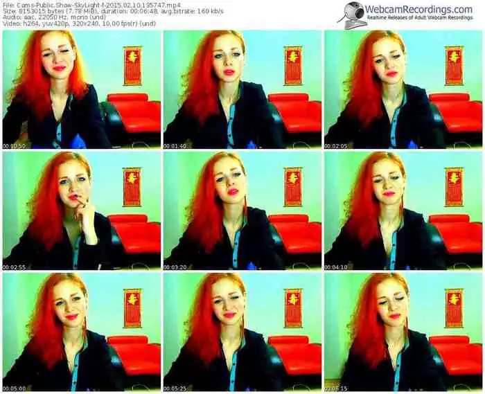 cams-skylight-public-show-02_10_2015-13_57_47