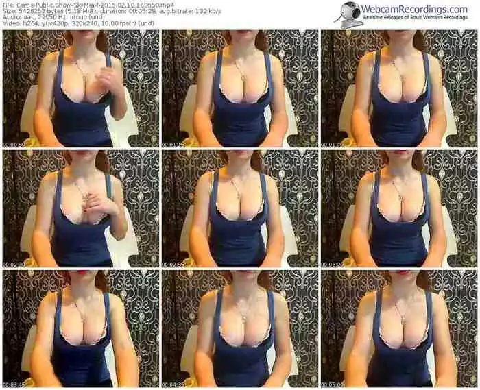 cams-skymia-public-show-02_10_2015-16_36_58