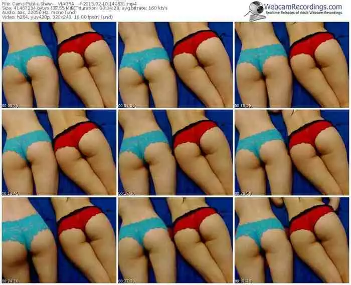 cams-__viagra__-public-show-02_10_2015-14_06_31