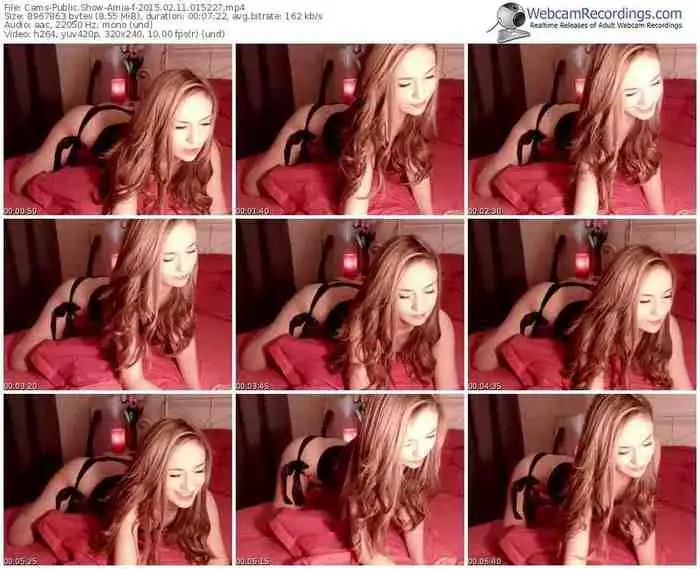 cams-amia-public-show-02_11_2015-01_52_27