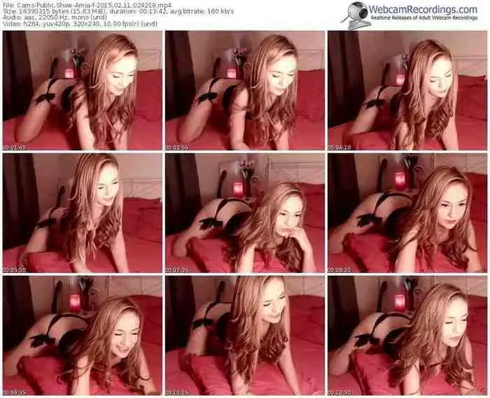 cams-amia-public-show-02_11_2015-02_42_19