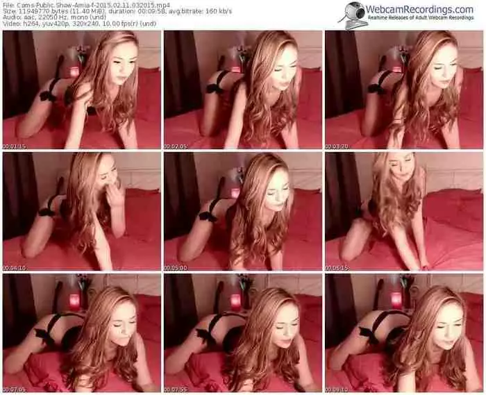 cams-amia-public-show-02_11_2015-03_20_15