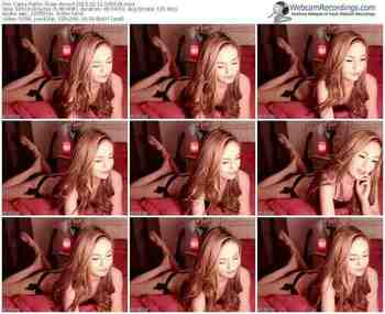cams-amia-public-show-02_11_2015-03_55_29