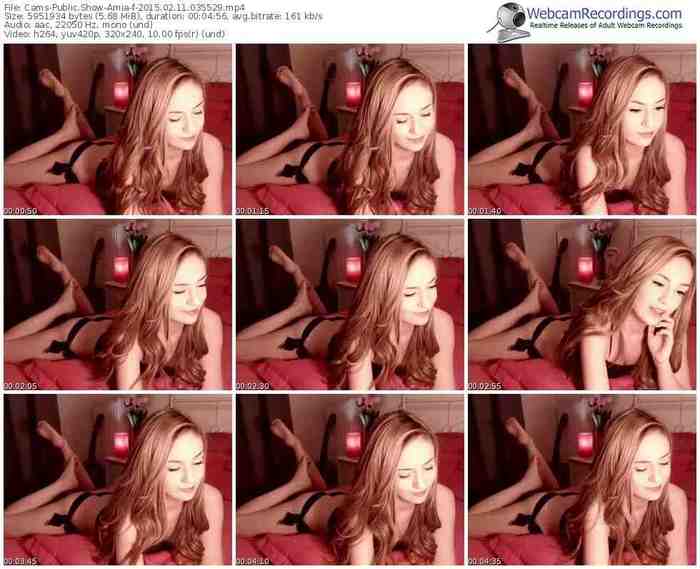 cams-amia-public-show-02_11_2015-03_55_29