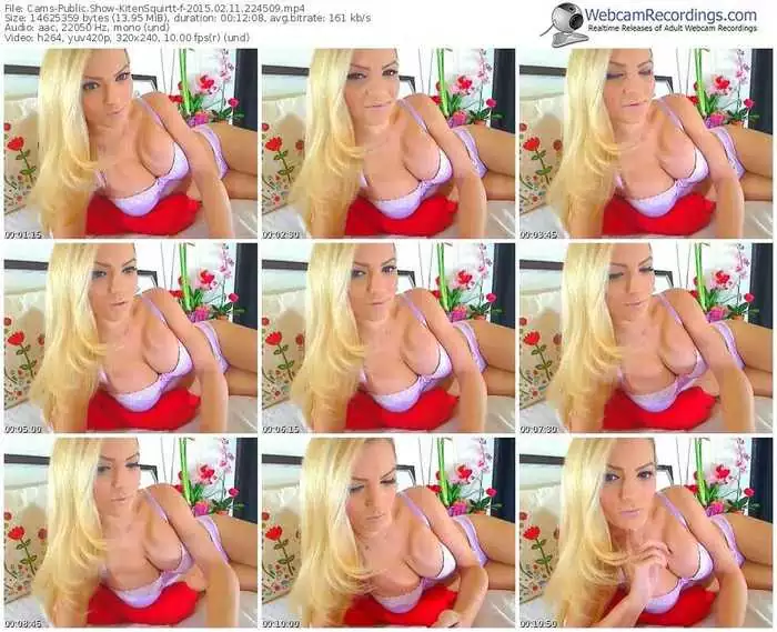 cams-kitensquirtt-public-show-02_11_2015-22_45_09