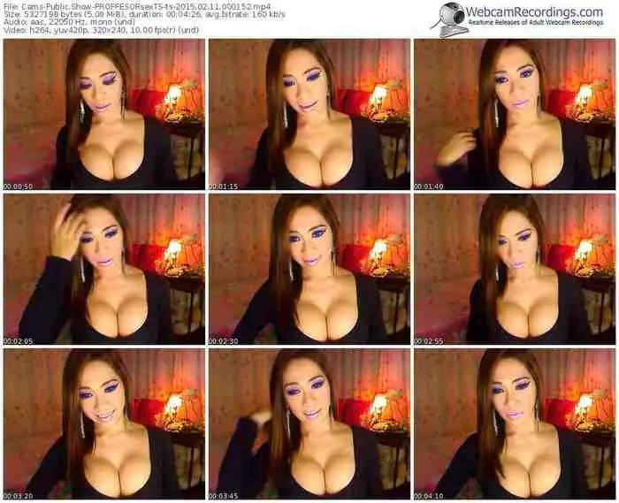 cams-proffesorsexts-public-show-02_11_2015-00_01_52