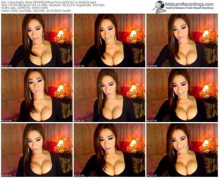 cams-proffesorsexts-public-show-02_11_2015-00_48_18