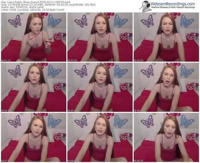 cams-siera-public-show-02_11_2015-10_51_05