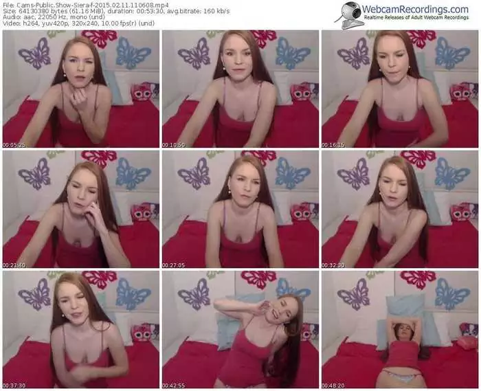 cams-siera-public-show-02_11_2015-11_06_08