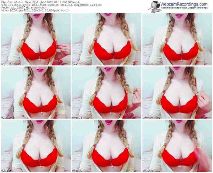 cams-skylight-public-show-02_11_2015-09_32_03