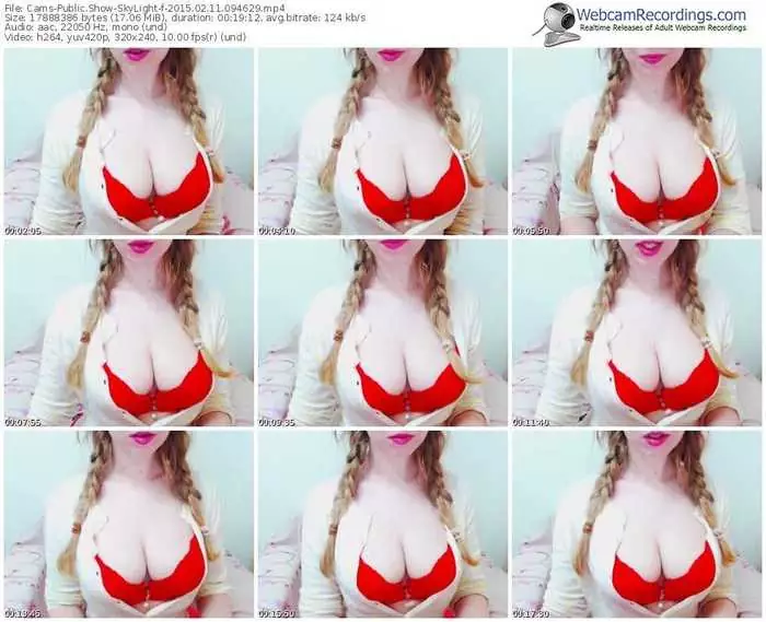 cams-skylight-public-show-02_11_2015-09_46_29