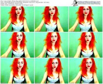 cams-skylight-public-show-02_11_2015-12_49_28