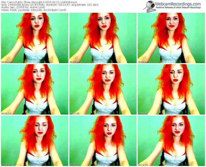 cams-skylight-public-show-02_11_2015-12_49_28