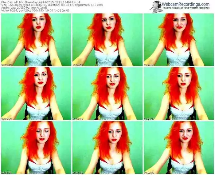 cams-skylight-public-show-02_11_2015-12_49_28