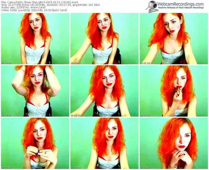 cams-skylight-public-show-02_11_2015-13_14_01