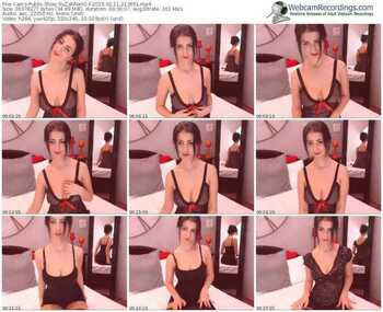 cams-suzannexo-public-show-02_11_2015-21_36_51