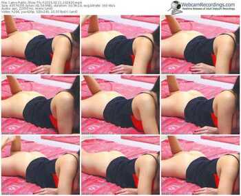 cams-tily-public-show-02_11_2015-10_24_20