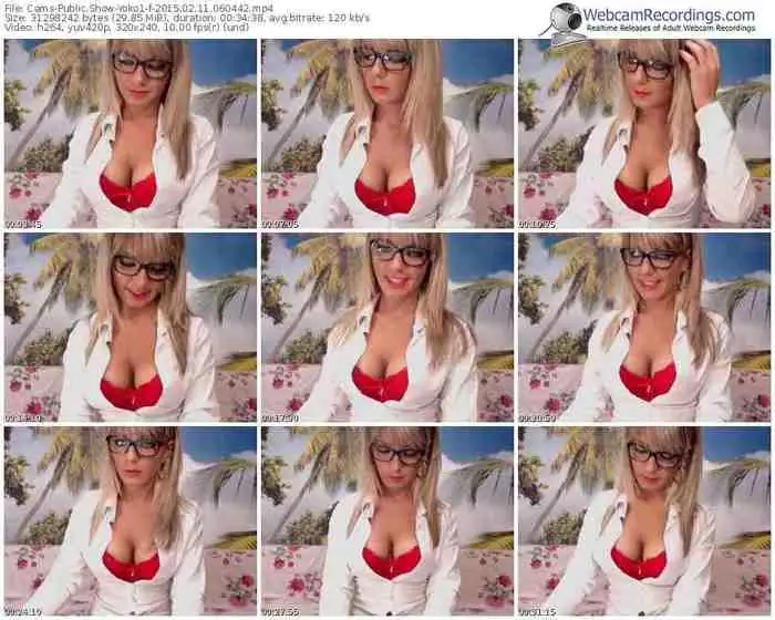 cams-yoko1-public-show-02_11_2015-06_04_42