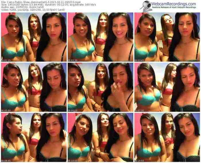 cams-dominante01-public-show-02_11_2015-09_32_13