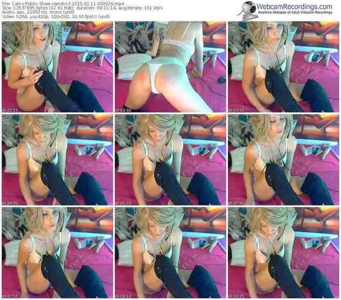 cams-ramitin-public-show-02_11_2015-00_09_26