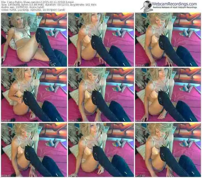 cams-ramitin-public-show-02_11_2015-01_59_13