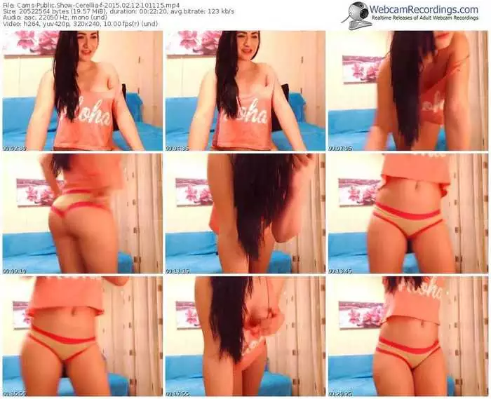 cams-cerellia-public-show-02_12_2015-10_11_15