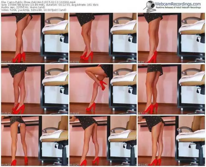 cams-dalyah-public-show-02_12_2015-10_20_00