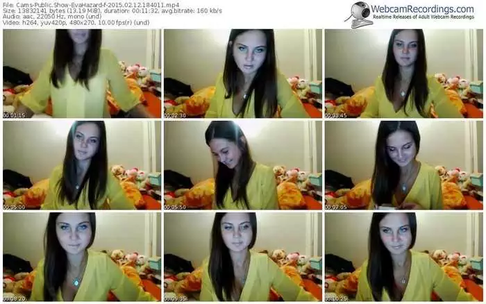 cams-evahazard-public-show-02_12_2015-18_40_11