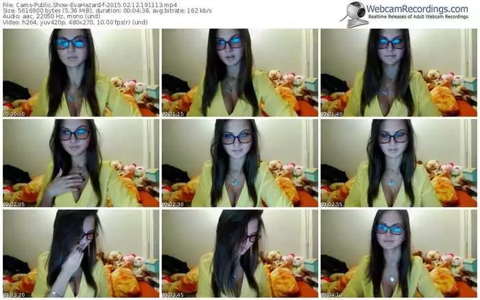 cams-evahazard-public-show-02_12_2015-19_11_13