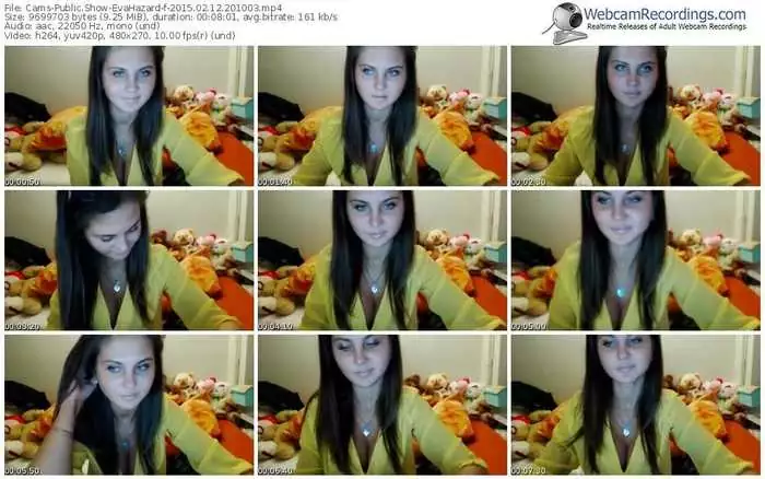 cams-evahazard-public-show-02_12_2015-20_10_03