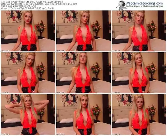 cams-littleniky-public-show-02_12_2015-20_50_50