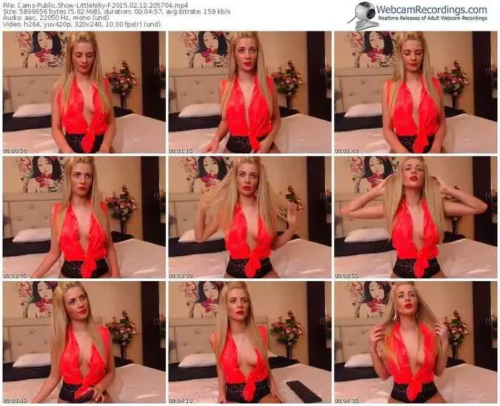 cams-littleniky-public-show-02_12_2015-20_57_04