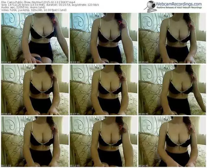 cams-skymia-public-show-02_12_2015-13_04_37