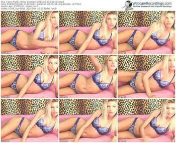 cams-weiwei-public-show-02_12_2015-18_43_12