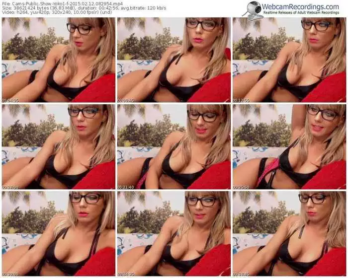 cams-yoko1-public-show-02_12_2015-08_29_54