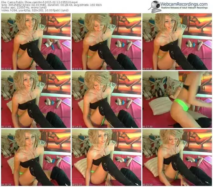 cams-ramitin-public-show-02_12_2015-03_55_10