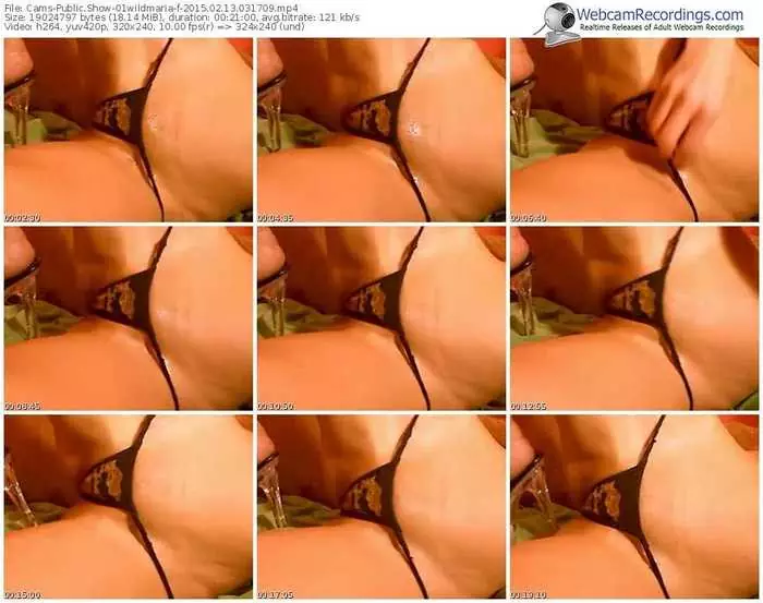 cams-01wildmaria-public-show-02_13_2015-03_17_09