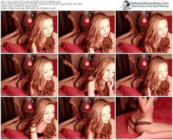 cams-amia-public-show-02_13_2015-02_58_23
