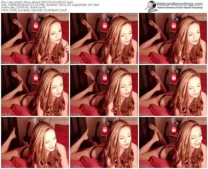 cams-amia-public-show-02_13_2015-04_21_27