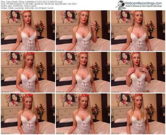 cams-littleniky-public-show-02_13_2015-00_51_03