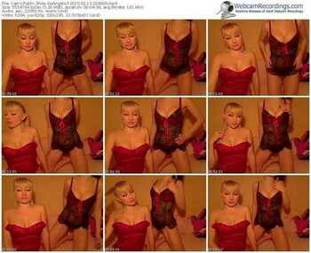 cams-noangels-public-show-02_13_2015-02_46_09