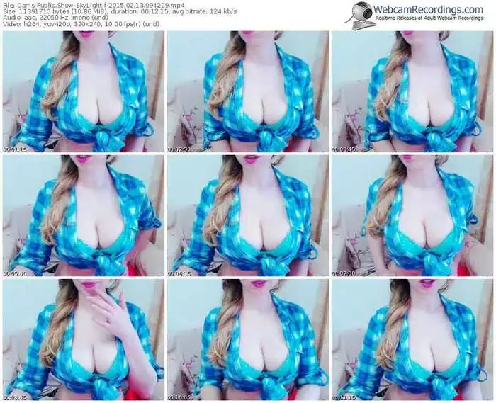 cams-skylight-public-show-02_13_2015-09_42_29