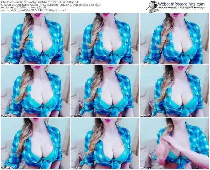 cams-skylight-public-show-02_13_2015-10_03_31