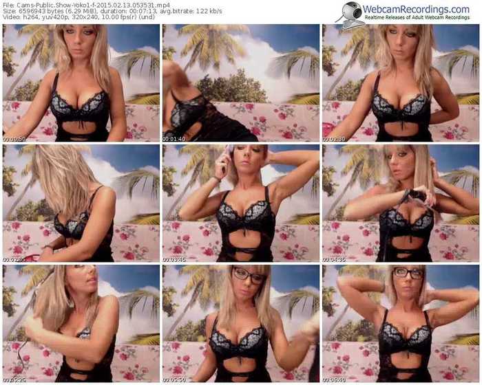 cams-yoko1-public-show-02_13_2015-05_35_31