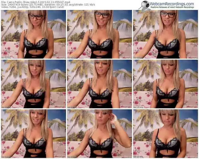 cams-yoko1-public-show-02_13_2015-05_56_47