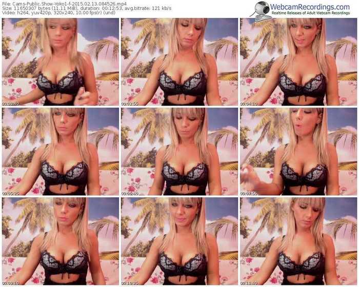 cams-yoko1-public-show-02_13_2015-08_45_26