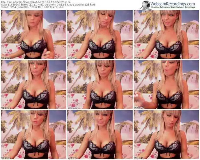 cams-yoko1-public-show-02_13_2015-08_45_26